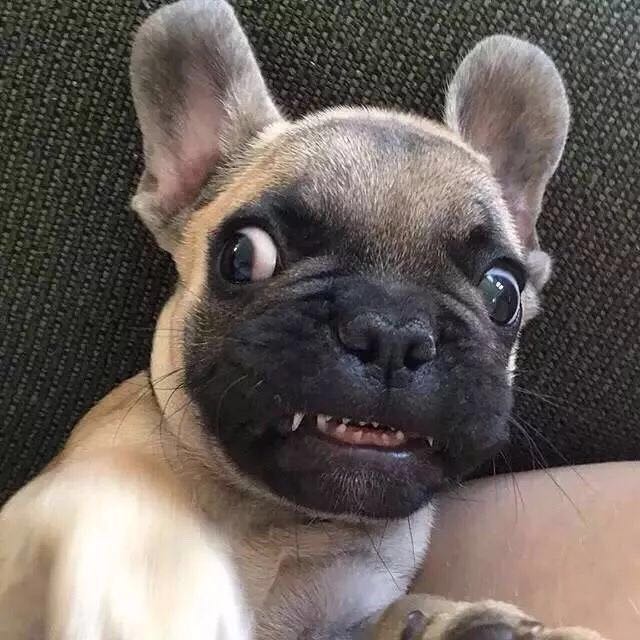 又帅又酷的高质量动漫男头,让人一眼惊艳的动漫男头