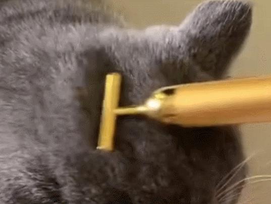 小米黄金棒,小米有品黄金棒