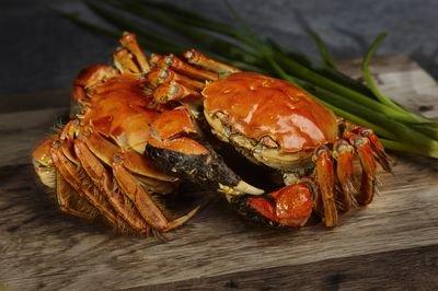 螃蟹怎么挑选黄满膏肥海蟹,怎么挑螃蟹才是肥的呢