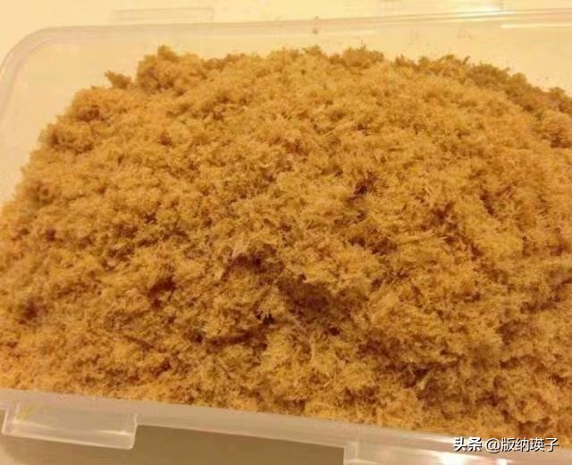 原来肉松这么做才好吃,之前都做错了,难怪肉松又干又硬不蓬松