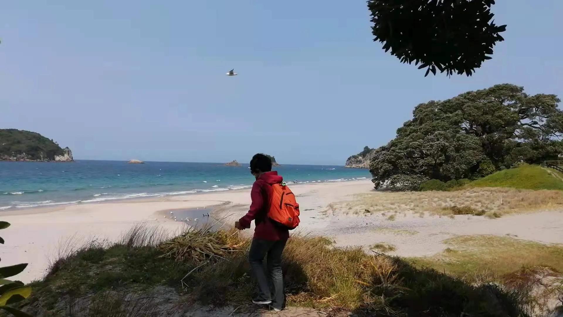 记忆中的旅行之新西兰（北岛）