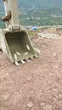 搞笑gif一看就是聪明人,搞笑gif趣图果然是亲生的笑死我了