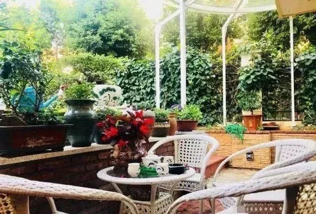 小院锦鲤鱼池建造全过程,自己建造庭院锦鲤鱼池