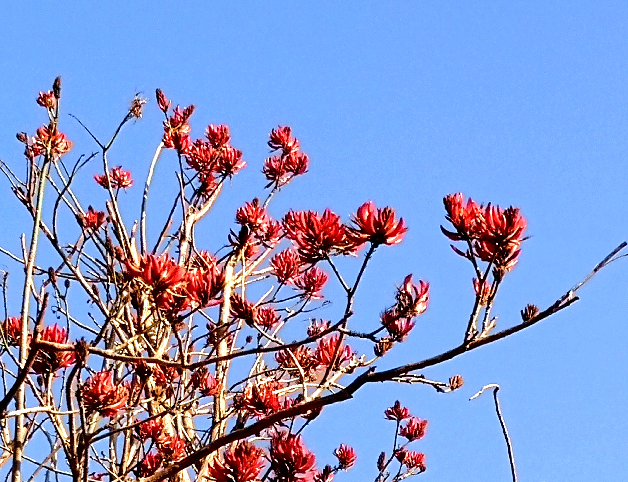 洱海值得去的地方,洱海真正值得去的地方