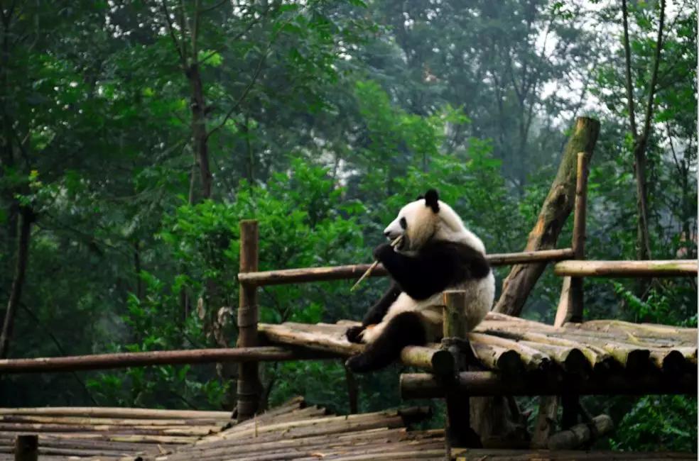 总有人在偷看你的朋友圈,我偷看别人朋友圈别人会知道吗