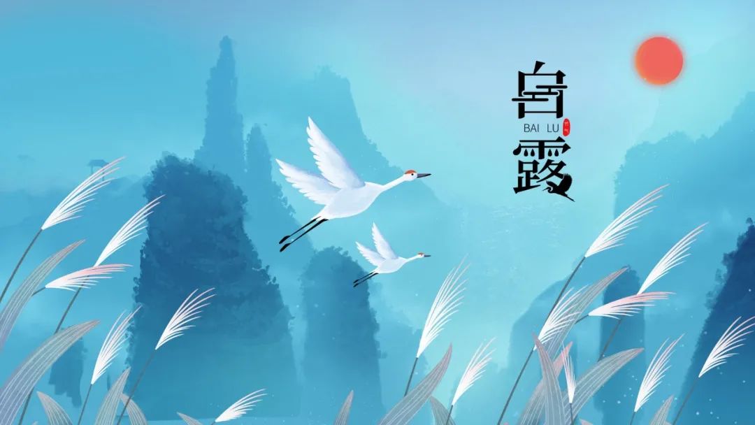 白露节气最好的诗句,关于白露的诗词有哪些