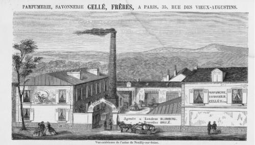 gellefreres婕珞芙适合油皮么,gellefreres婕洛芙面膜怎么用