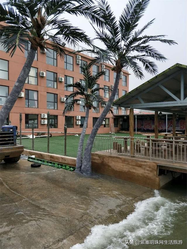 大连哈仙岛仙客来酒店,哈仙岛海鲲度假村