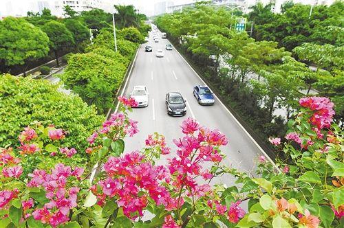 南宁台湾人眼中的城市,台湾人眼里的广西南宁