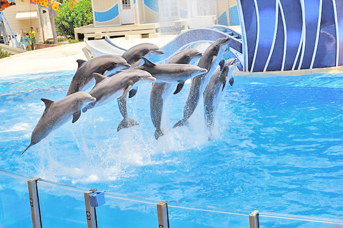 青岛三日游最佳攻略时间,青岛三日游攻略大全最新