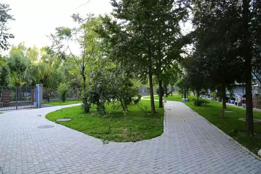 朝阳区腾退区域,腾退空间朝阳再添一处