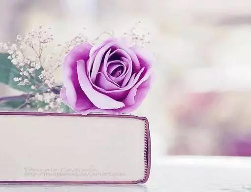 爱而不得的感情该放手还是继续,如果一段感情感到痛苦还要继续吗