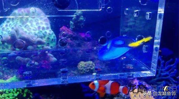 说出来都是泪！只有新下海的人才能体会这种痛，简直是全军覆灭