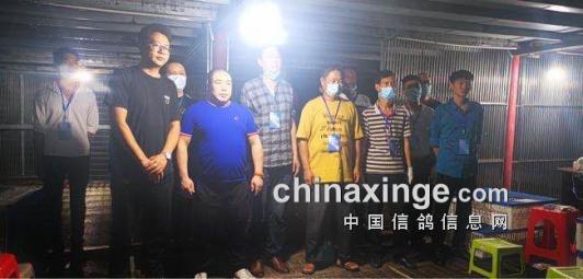 赛鸽公棚深度分析,赛鸽公棚是靠什么赚钱