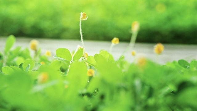 很简单干净的爱情说说,触动人心的爱情说说句句精辟