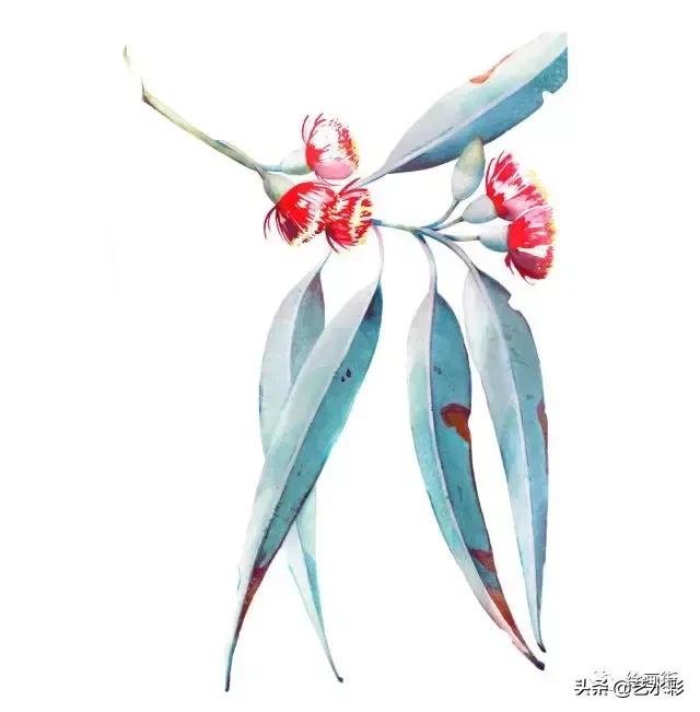 花卉钢笔画临摹简单100图,100份白描花卉的临摹素材