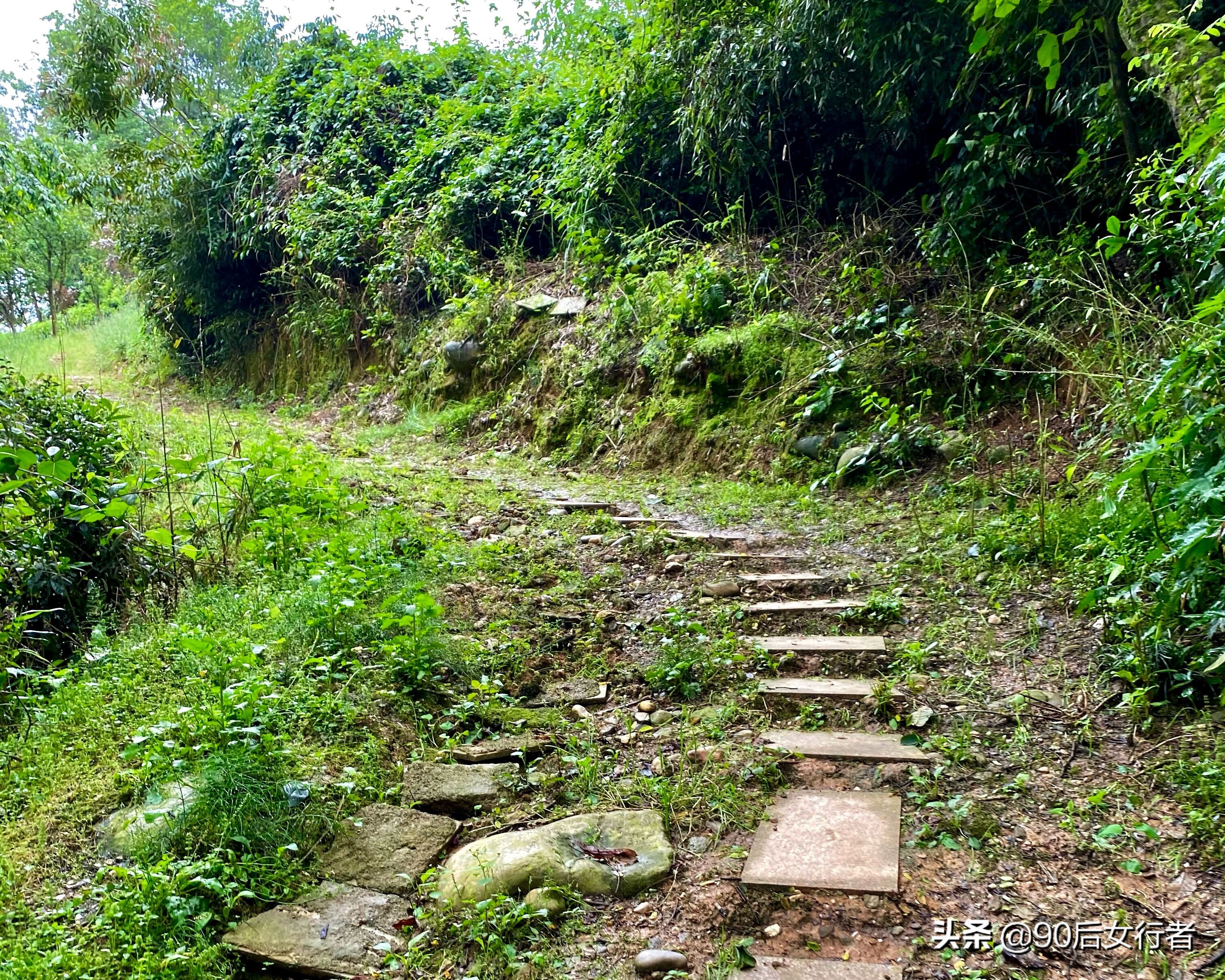 探寻青城山,探秘青城山神仙洞怎么走