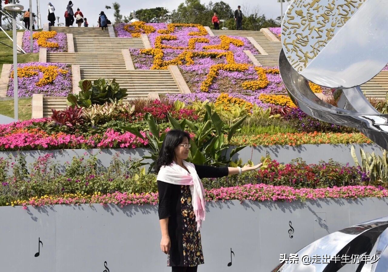 深圳有多少个公园景点,深圳室内足球场