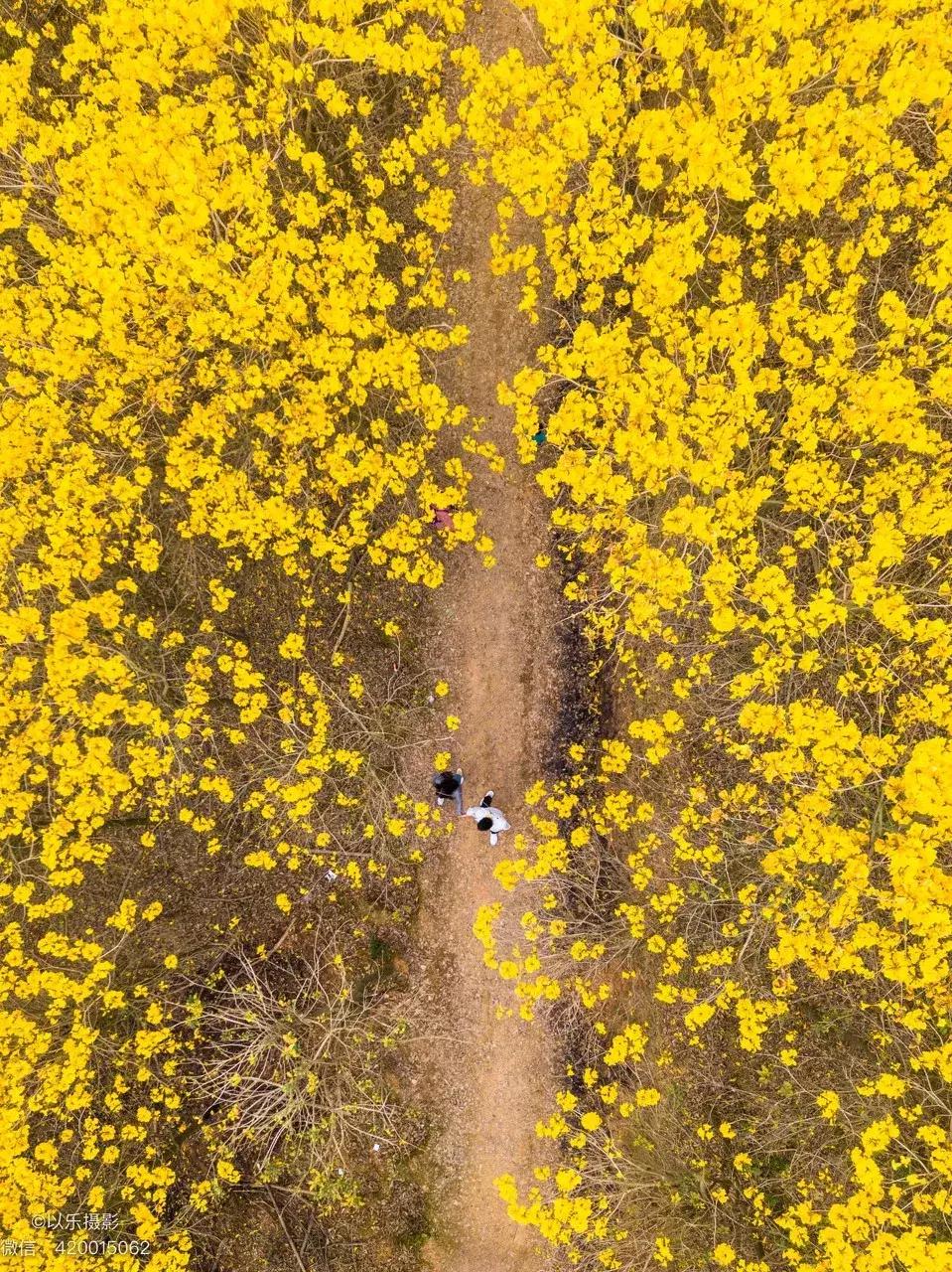 厦门精绝古城,离厦门1.8公里的地方