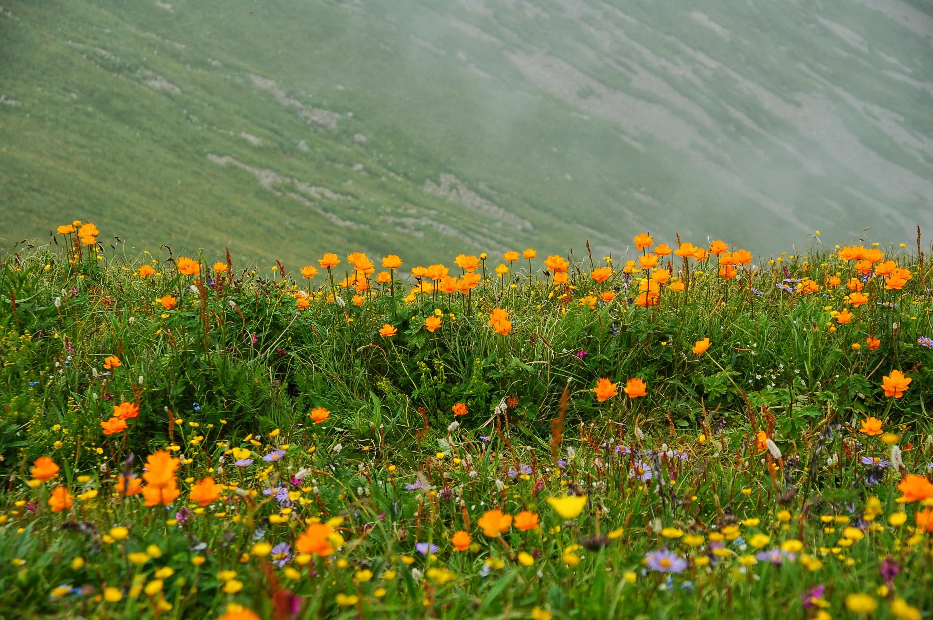 河北最高的小五台山晴空万里,河北的最高山峰小五台山海拔多少