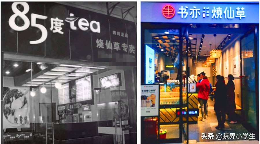 成都小众茶饮品牌有哪些,成都特有茶饮有哪些品牌