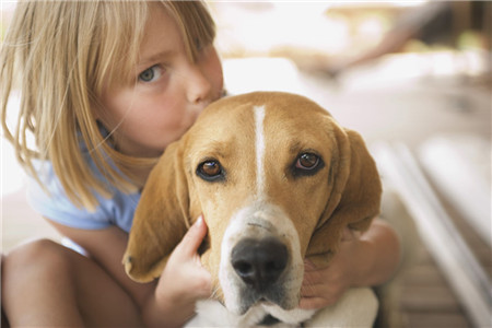 狗狗总是喜欢舔人怎么回事,狗狗总喜欢舔主人的手是咋回事