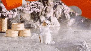 武汉温泉推荐冬季室外,冬天武汉泡温泉