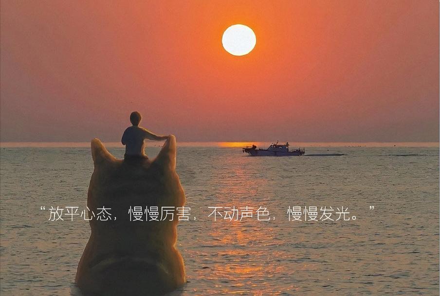 手机拍图片扫描提取文字免费,手机如何扫一扫提取图片中的文字