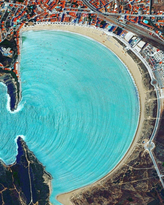 31张活久见的有趣图片,鳄鱼电鳗同归于尽渔翁得利