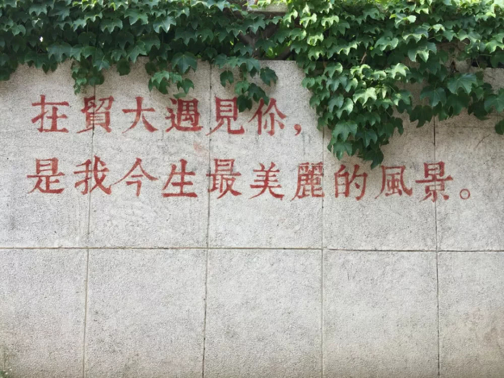 北京女人最多的大学,北京女生最多的大学排名