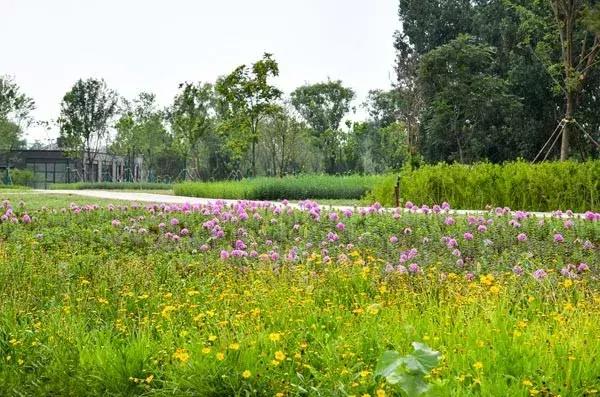 好消息北京石景山八角新乐园,好消息北京朝阳