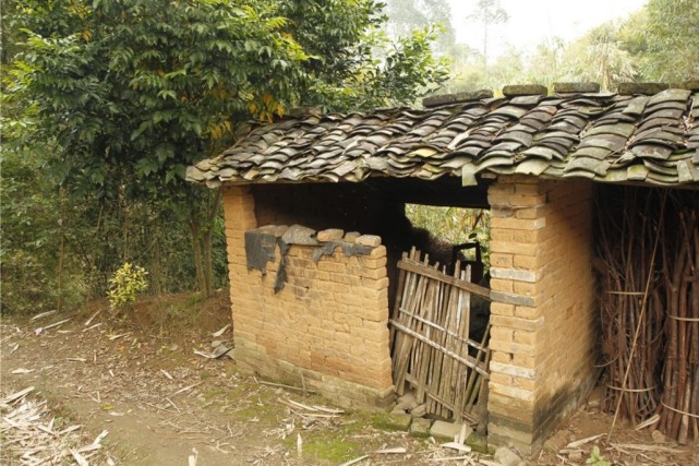 新一轮农村厕所改革，原有的厕所如何处置？