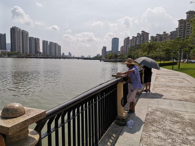 冬天筏竿钓土鲮,筏竿钓大土鲮