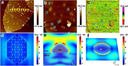 通过Au-MoO2异质结构的Au-O键强耦合实现增强析氢反应
