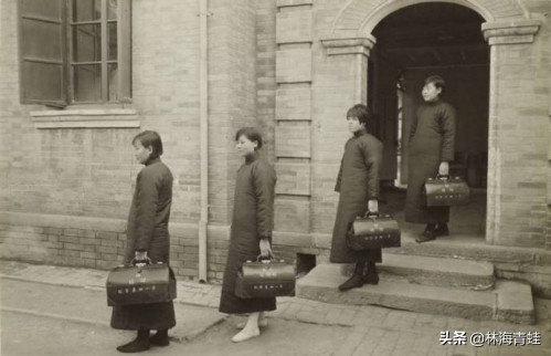 杨崇瑞,杨崇瑞教授