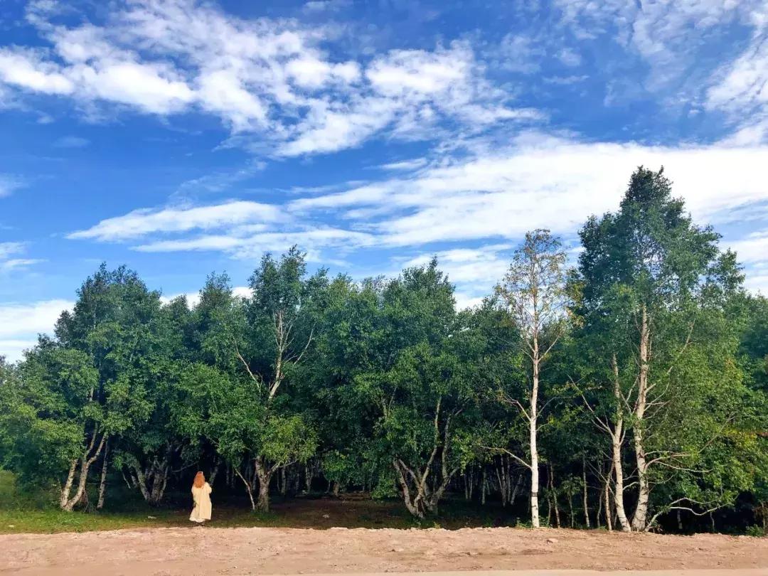 千松坝国家森林公园看云海,在万米的高空看云海