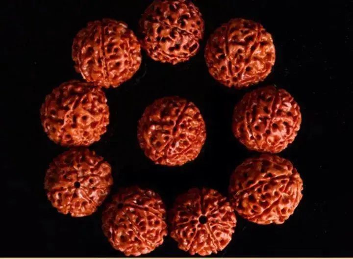 七瓣金刚菩提与落地红区别,金刚菩提红了但不透