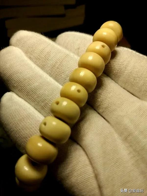 星月菩提没有星的是什么品种,星月菩提只有星没有月