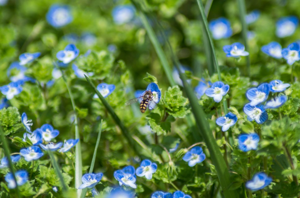 宾得k50配什么镜头最好,宾得k50光圈门解决办法