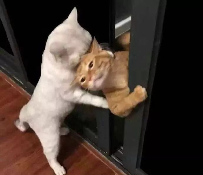 正宗的上海话中十大闲话,正宗上海闲话读词