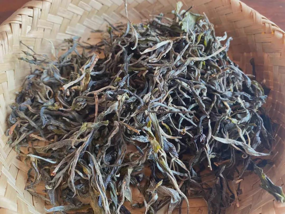 倚邦曼松古树茶,曼松贡茶和倚邦