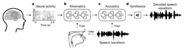 打孔埋线,一步搞定!马斯克的“赛博格”变身方案来了
