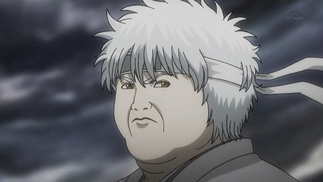 出其不意是每回合都有效吗,出其不意是什么词