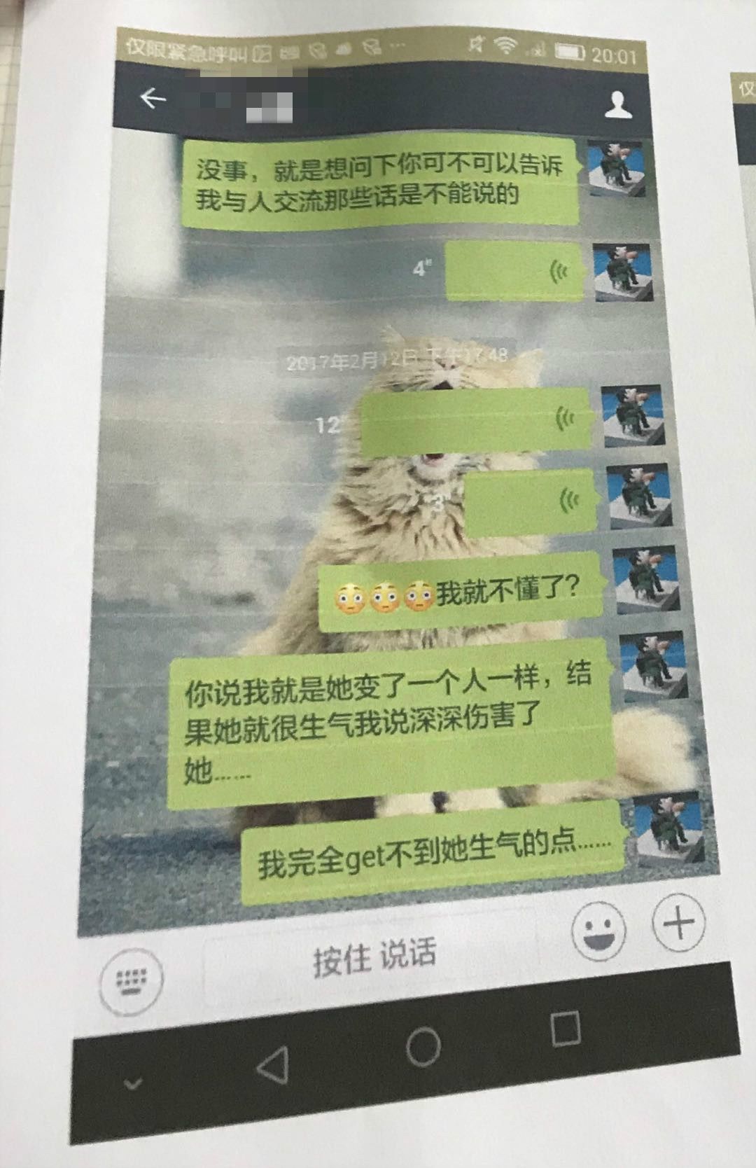 谁杀死了她全集,谁杀死了她结局深度解析