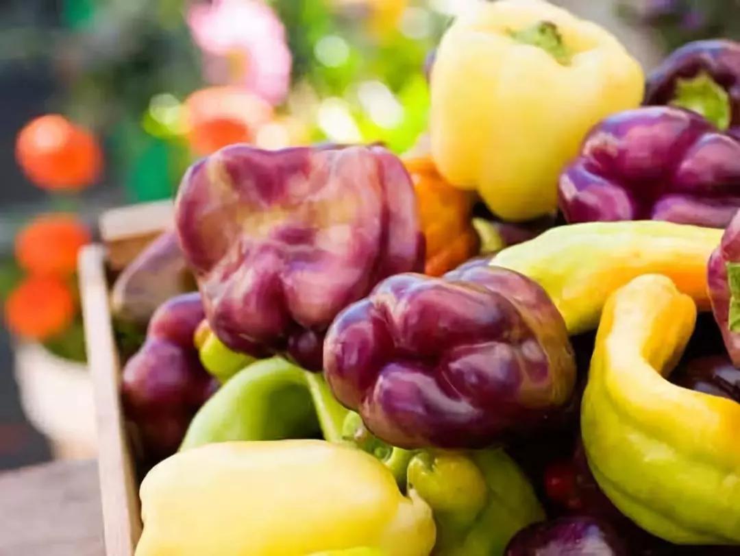 减肥吃什么没有饥饿感,减肥就是持续的饥饿感