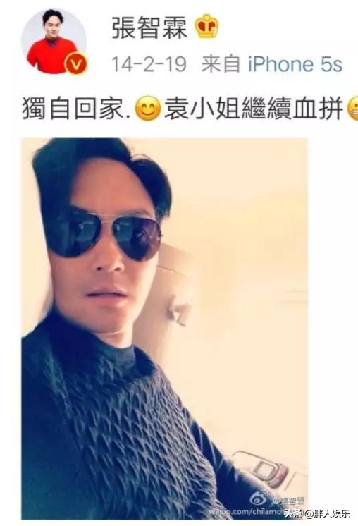 袁咏仪图文故事,袁咏仪张智霖年轻时故事