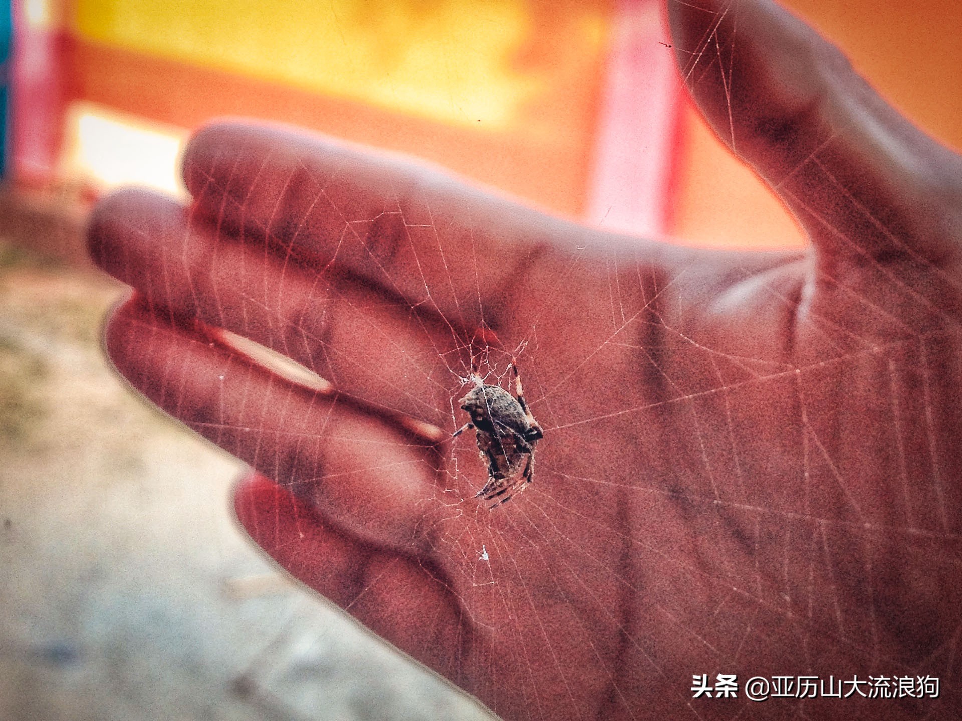 中缅边境的佛寺,旅途中遇到藏区僧人