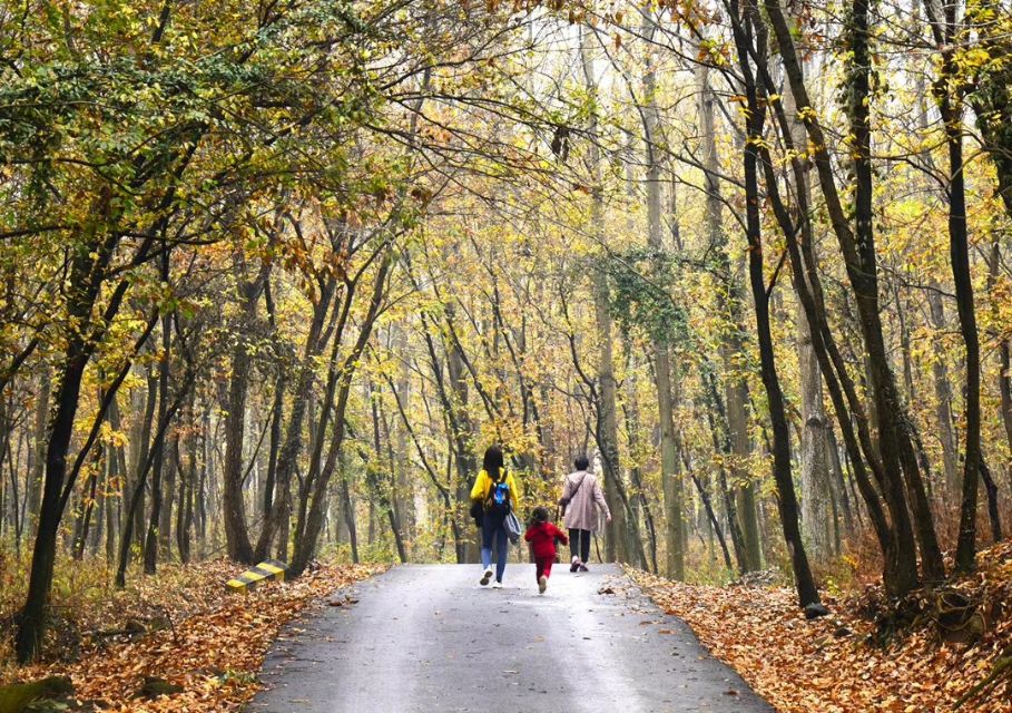上台讲故事的淘淘大哭到大队委竞选的侃侃而言，引导帮助孩子改变