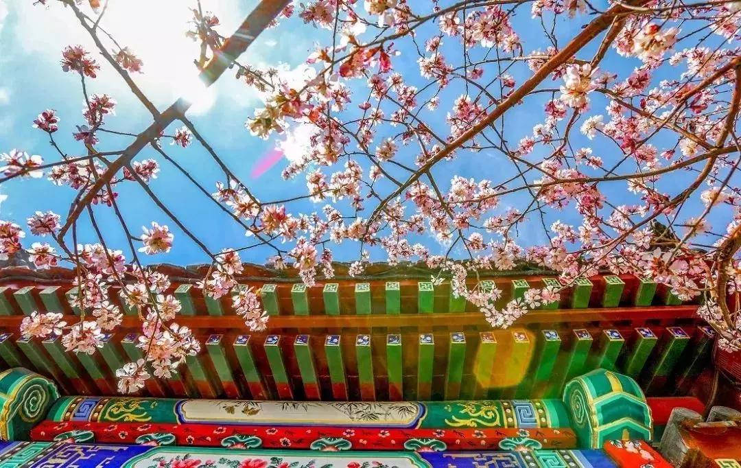 千年古镇杨柳青镇,千年古镇杨柳青王家