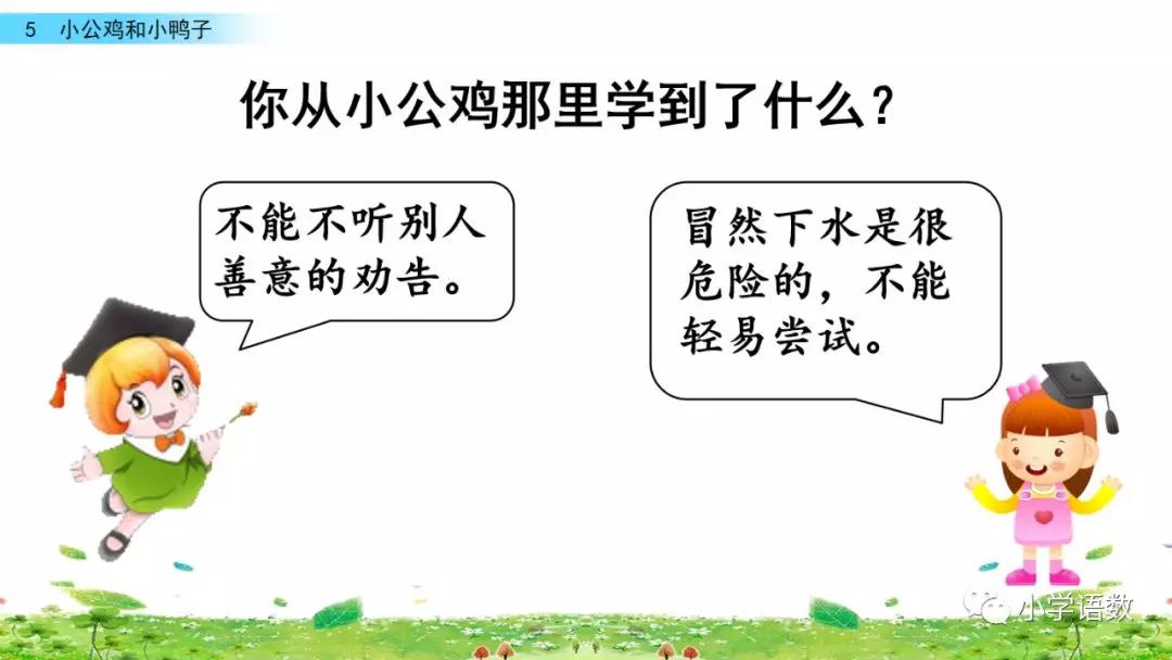 小公鸡和小鸭子一年级下册视频,一年级下语文小公鸡和小鸭子讲解